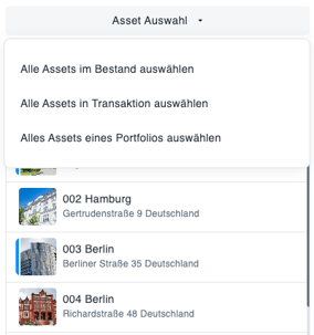 24.8_Report_Assetselection_DE