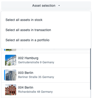 24.8_Report_Assetselection_EN
